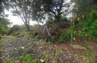Vente Terrain 1082m² Ducos