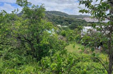Vente Terrain 983m&sup2; Le Robert