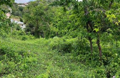 Vente Terrain 983m&sup2; Le Robert