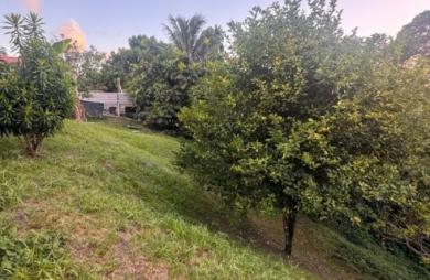 Vente Terrain 752m&sup2; Le Lamentin