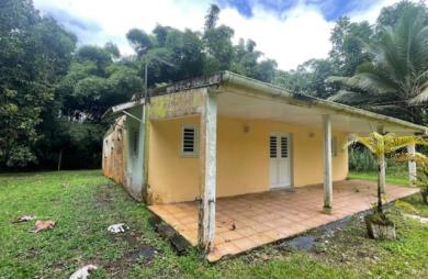 Ensemble immobilier une maison F4 avec une dépendance F3 sur un grand terrain - AJOUPA BOUILLON
