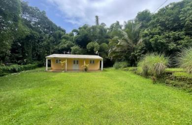 Ensemble immobilier une maison F4 avec une dépendance F3 sur un grand terrain - AJOUPA BOUILLON