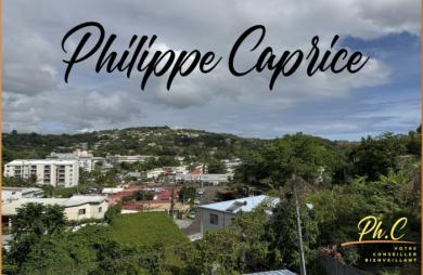 Vente Maison 569m&sup2; 22 pièces La Trinité