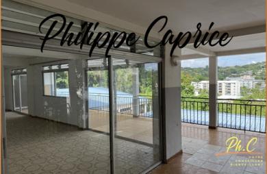 Vente Maison 569m&sup2; 22 pièces La Trinité