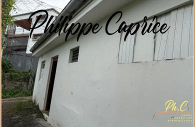 Vente Maison 569m&sup2; 22 pièces La Trinité