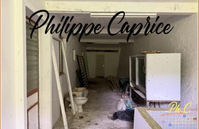 Vente Maison 569m&sup2; 22 pièces La Trinité