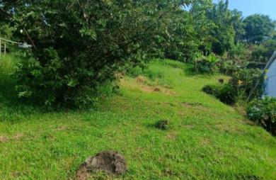 Vente Terrain 567m&sup2; Sainte Luce