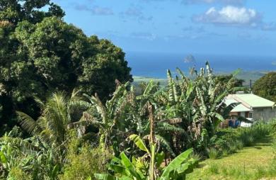 Vente Terrain 942m&sup2; Sainte Luce