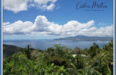 Vente Terrain 1000m&sup2; Les Anses d