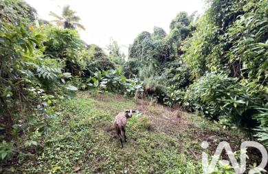Vente Terrain 1100m&sup2; Le Morne Vert