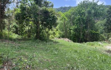 Rivière-Pilote Terrain constructible 860 m² 135 000 euros FA