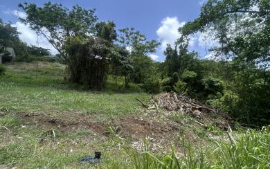 Rivière-Pilote Terrain constructible 860 m² 135 000 euros FA