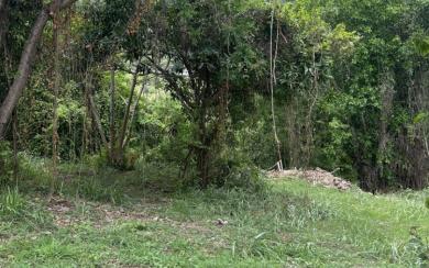 Rivière-Pilote Terrain constructible 860 m² 135 000 euros FA