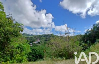 Vente Terrain 11000m&sup2; Rivière Pilote