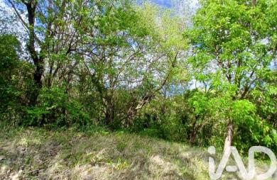 Vente Terrain 11000m&sup2; Rivière Pilote
