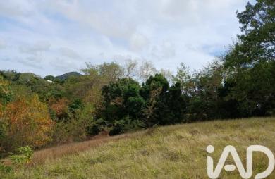 Vente Terrain 11000m&sup2; Rivière Pilote