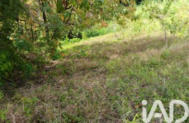 Vente Terrain 11000m&sup2; Rivière Pilote
