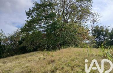 Vente Terrain 11000m&sup2; Rivière Pilote