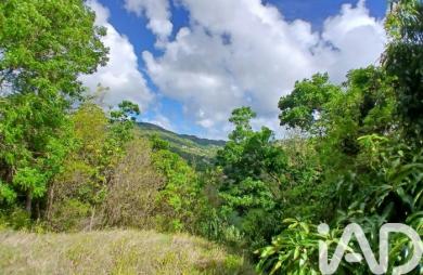 Vente Terrain 11000m&sup2; Rivière Pilote