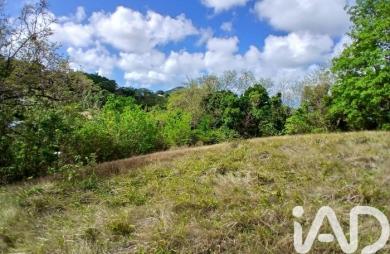 Vente Terrain 11000m&sup2; Rivière Pilote