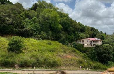 Vente Terrain 570m&sup2; Ducos