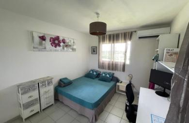 À VENDRE   Appartement F2 avec vue mer et campagne à Ducos