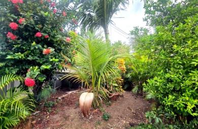 Vente Maison 106m&sup2; 4 pièces Sainte Anne