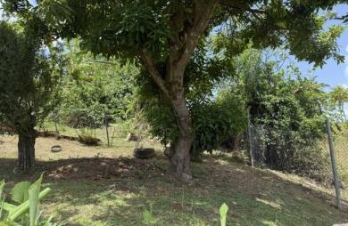 Vente Maison 152m&sup2; 7 pièces Le François