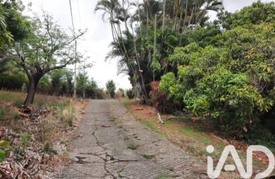 Vente Terrain 819m&sup2; Le Carbet