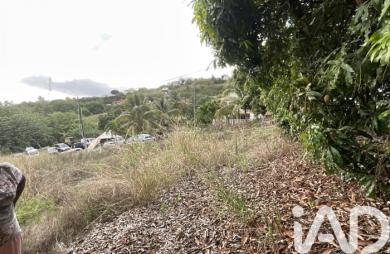 Vente Terrain 819m&sup2; Le Carbet