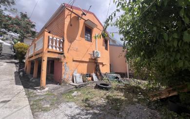 Sainte-Thérèse Fort-de-France | Maisonnette T2 à réhabiliter
