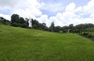 Vente Terrain 4435m&sup2; Gros Morne