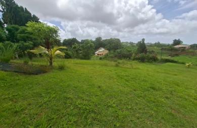 Vente Terrain 4435m&sup2; Gros Morne