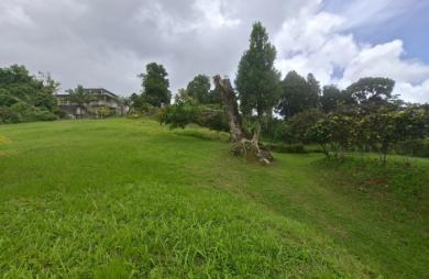 Vente Terrain 4435m&sup2; Gros Morne