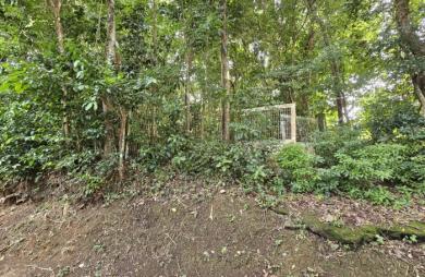 Terrain à bâtir de 20.000 m2 dont 3.500 m2 constructibles