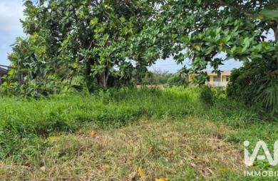 Vente Terrain 1142m&sup2; L