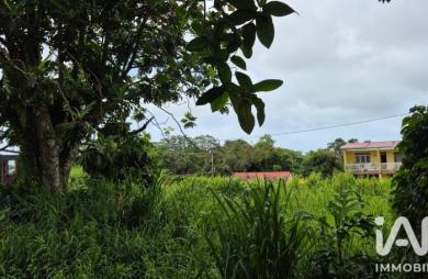 Vente Terrain 1142m&sup2; L
