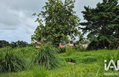 Vente Terrain 1142m&sup2; L