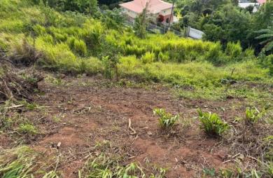 Vente Terrain 450m&sup2; La Trinité