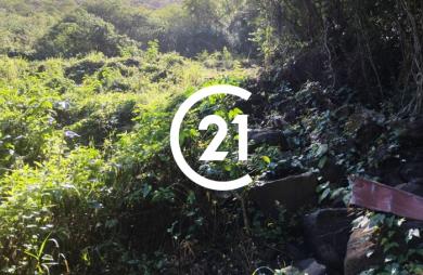 Vente Terrain 3031m&sup2; Case-Pilote