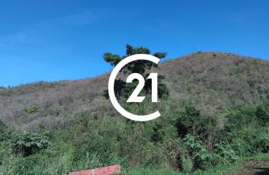 Vente Terrain 3031m&sup2; Case-Pilote