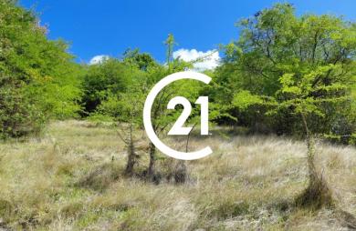 Vente Terrain 1167m&sup2; Schoelcher