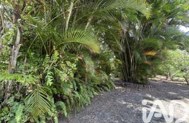 Vente Maison 235m&sup2; 3 pièces Le Morne Vert