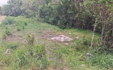 TERRAIN À VENDRE – RIVIÈRE-SALÉE – 890 m² / 130 000 €