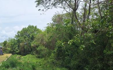 TERRAIN À VENDRE – RIVIÈRE-SALÉE – 890 m² / 130 000 €