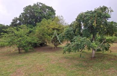 Location Maison 65.13m² 3 pièces Le Lamentin