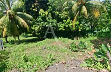 Vente Terrain 5170m² Sainte Marie
