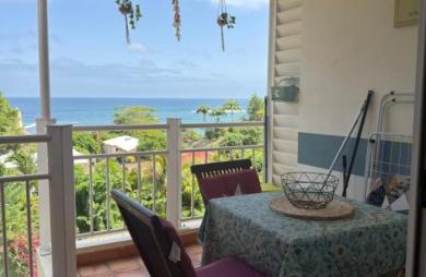 Vente Appartement 20.44m&sup2; 1 pièce La Trinité