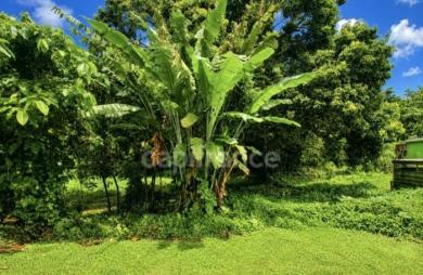 Vente Terrain 729m&sup2; L
