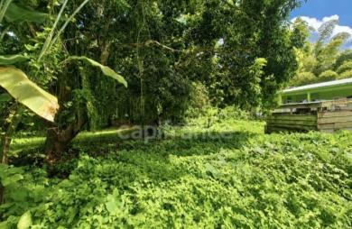 Vente Terrain 729m&sup2; L